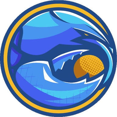 Boston Roundnet logo